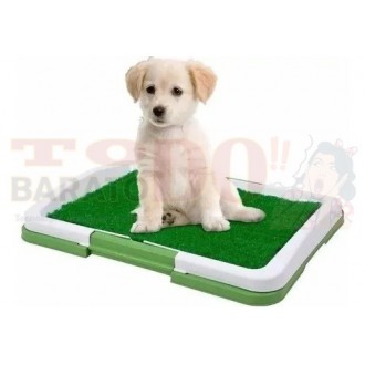 Tapete De Entrenamiento Perros Pequeños